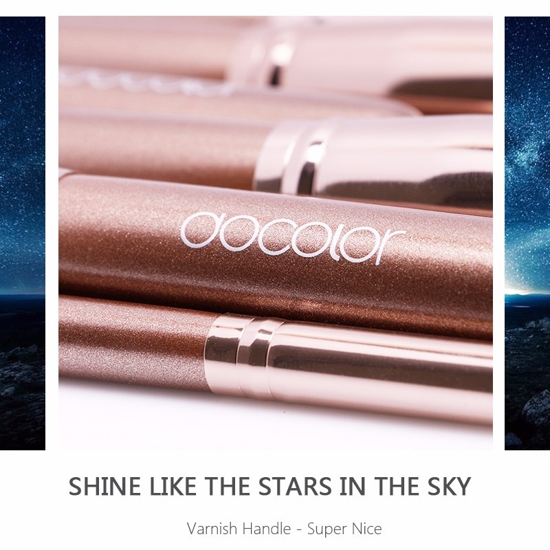 Bộ cọ trang điểm Docolor 10 Pieces Makeup Brushes Set 08