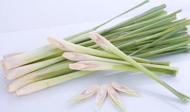Củ Sả