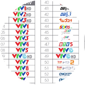 tv box vtvgo chinh hang