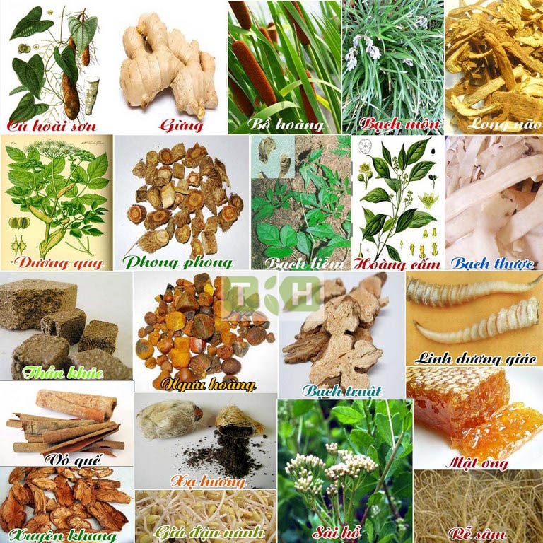 An Cung Ngưu Hoàng Tổ Kén Nội Địa Hàn Quốc hộp 10 viên Hàng Xịn