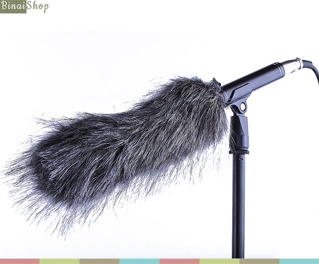 EAROBE P23